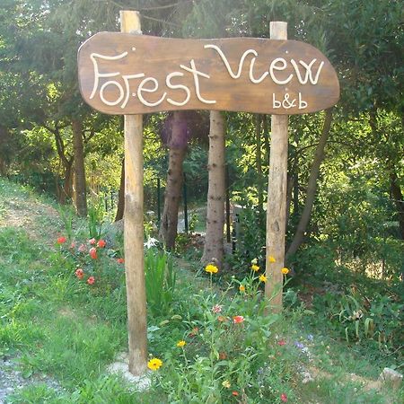 Forest View B&B Gavi Exteriér fotografie